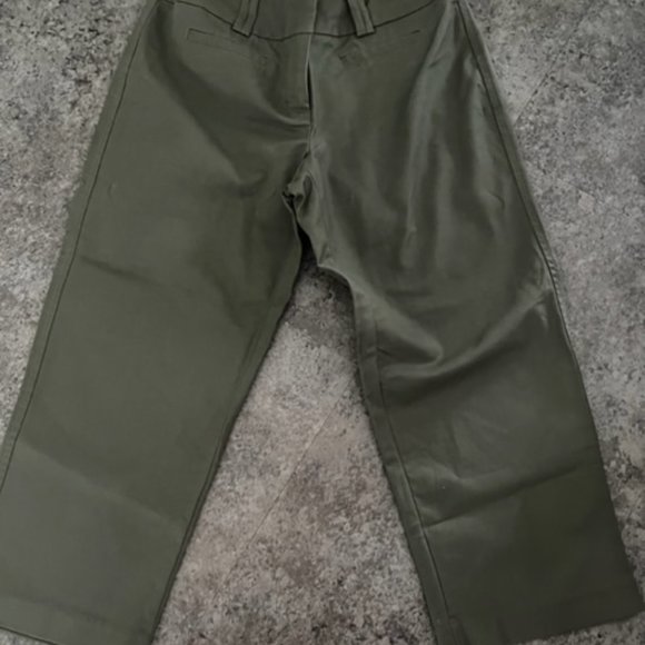Denver Hayes Stretchy Capris - Olive colored, Curvy - Size 6 - Picture 2 of 2